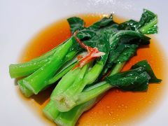 -觀芷隐轩