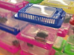 -小天才步步高(泰禾广场旗舰店)