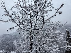 -庐山风景名胜区