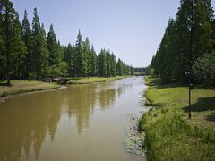 -黄海国家森林公园