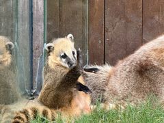 -茅山东方盐湖城景区