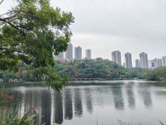 -重庆彩云湖湿地公园