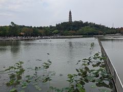 -顺峰山公园