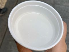 -洪馨椰子