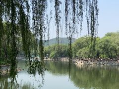 -石家庄市动物园