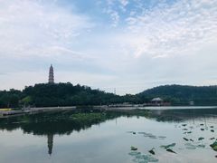 -顺峰山公园