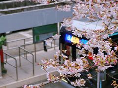 -南浦大桥长途旅游客运站