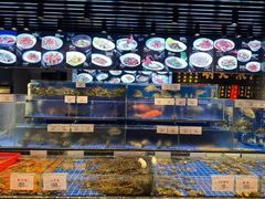 -中山市绿华园食府