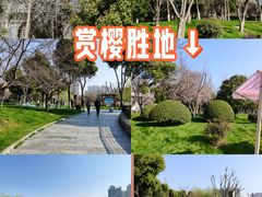-堤角公园