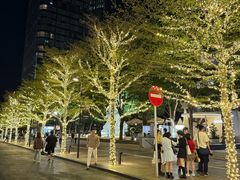 -深圳湾万象城(南山店)