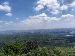 -紫金山天文台