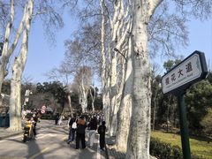 -武汉大学-樱园
