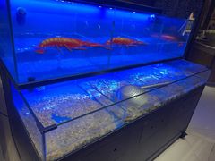 -舟山朱家尖威斯汀酒店·知味标帜自助餐厅