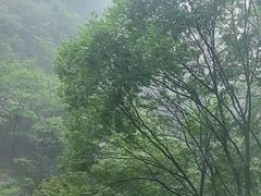 -尧山风景区