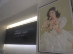 -海马体照相馆(佛山岭南站店)