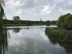 -贡湖湾湿地公园