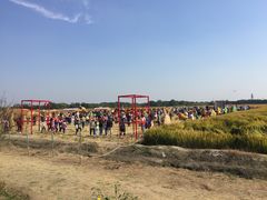 -梁鸿国家湿地公园