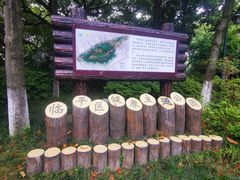 -临平公园(临平街道)