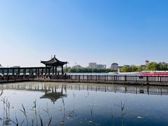 -莲花池公园