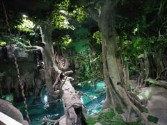 -福州罗源湾海洋世界旅游区