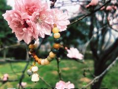 -洨河生态公园