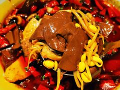 -丹江渔村(望京店)