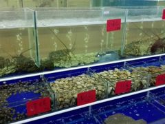 -海鲜城大家餐厅