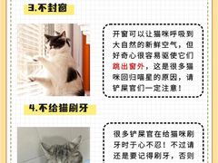 -瑞派天使宠物医院·神经外科·骨科·核磁(洛川中路店)