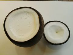 -志龙皇冠吃货椰子铺