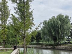 -广富林郊野公园