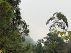-重庆雨台山风景区