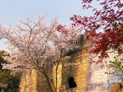 -淹城春秋乐园