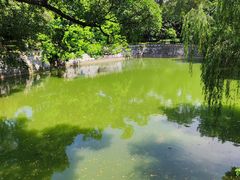 -柳侯公园