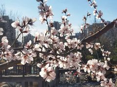 -莲花池公园