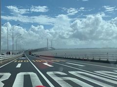 -陈家镇裕安农贸市场