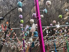 -黑龙潭风景区