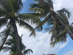 -三亚西岛海洋文化旅游区