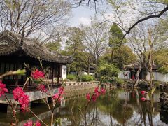 -秋霞圃