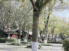 -西溪国家湿地公园