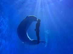 -多彩贵州城极地海洋世界