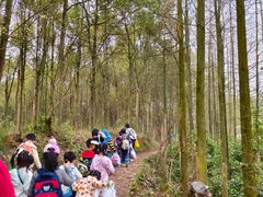 -宾果蒙特梭利托育儿童之家幼儿园(爱琴海店)