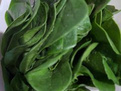 -南门四季铜锅涮肉(大屯·北苑店)