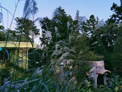 -三鹰之森吉卜力美术馆