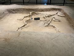 -洛阳周王城天子驾六博物馆