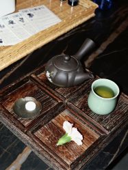 -VELEE·SPA高定疗愈会所