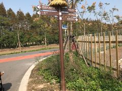 -上海长兴岛郊野公园