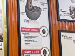 -巴厘岛黄金金兔咖啡工厂