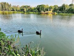 -南通濠河风景名胜区