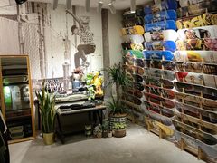 -聚点滑板SPOT SKATE(常熟路店)