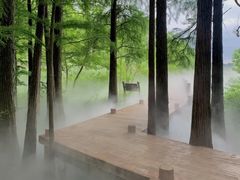 -东湖落雁景区